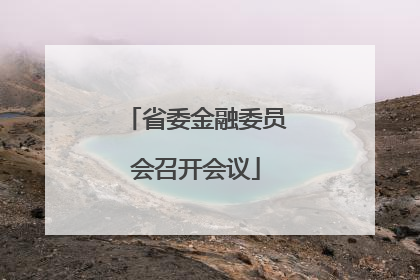 省委金融委员会召开会议