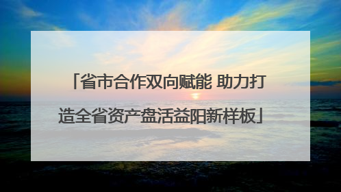 省市合作双向赋能 助力打造全省资产盘活益阳新样板