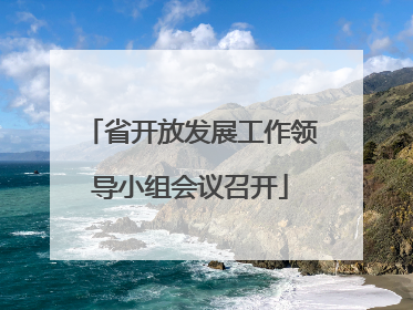 省开放发展工作领导小组会议召开