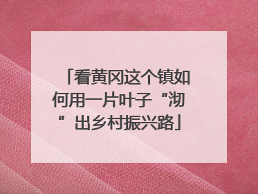 看黄冈这个镇如何用一片叶子“沏”出乡村振兴路