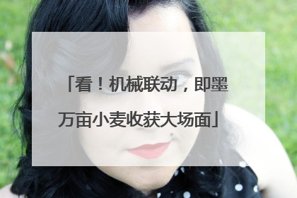 看！机械联动，即墨万亩小麦收获大场面