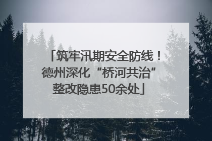 筑牢汛期安全防线！德州深化“桥河共治”整改隐患50余处