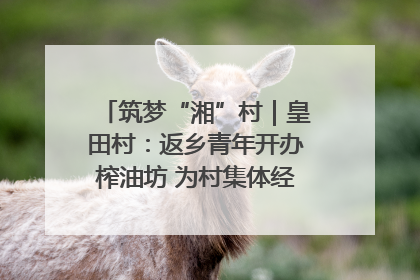 筑梦“湘”村｜皇田村：返乡青年开办榨油坊 为村集体经济“加油”