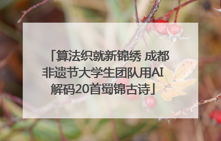 算法织就新锦绣 成都非遗节大学生团队用AI解码20首蜀锦古诗