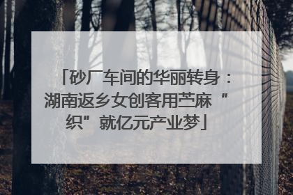 砂厂车间的华丽转身：湖南返乡女创客用苎麻“织”就亿元产业梦