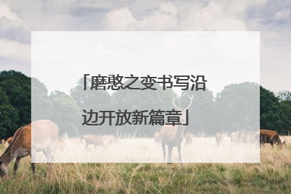 磨憨之变书写沿边开放新篇章