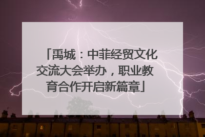 禹城：中菲经贸文化交流大会举办，职业教育合作开启新篇章