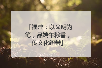 福建：以文明为笔，品端午粽香，传文化纽带