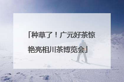 种草了！广元好茶惊艳亮相川茶博览会