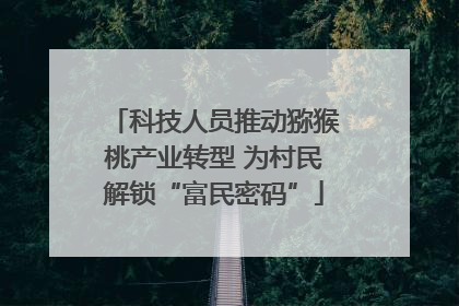 科技人员推动猕猴桃产业转型 为村民解锁“富民密码”