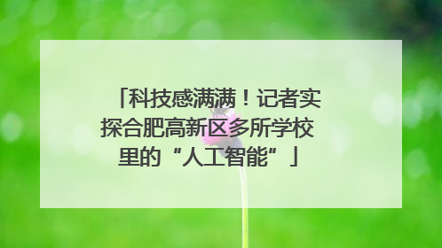 科技感满满！记者实探合肥高新区多所学校里的“人工智能”