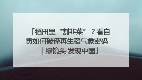稻田里“割韭菜”？看自贡如何破译再生稻气象密码｜绿镜头·发现中国