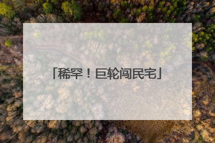 稀罕！巨轮闯民宅