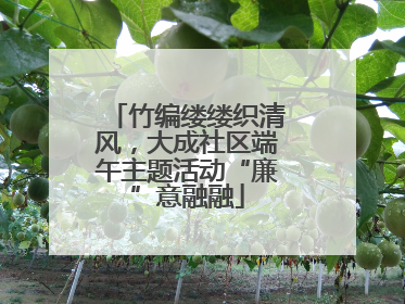 竹编缕缕织清风，大成社区端午主题活动“廉”意融融