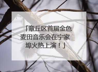 章丘区首届金色麦田音乐会在宁家埠火热上演！
