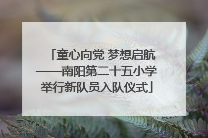 童心向党 梦想启航——南阳第二十五小学举行新队员入队仪式