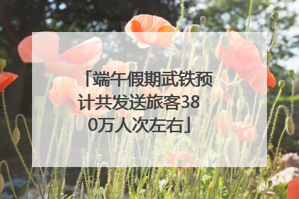 端午假期武铁预计共发送旅客380万人次左右