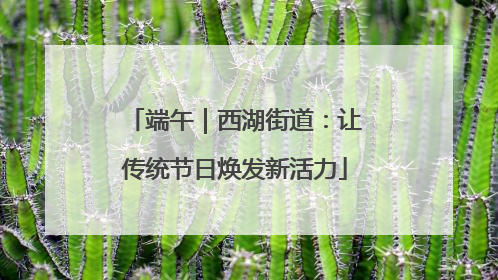 端午｜西湖街道：让传统节日焕发新活力