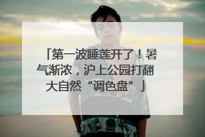 第一波睡莲开了！暑气渐浓，沪上公园打翻大自然“调色盘”