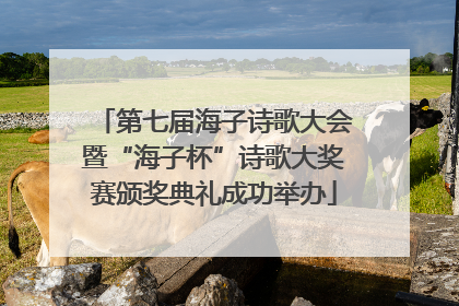 第七届海子诗歌大会暨“海子杯”诗歌大奖赛颁奖典礼成功举办