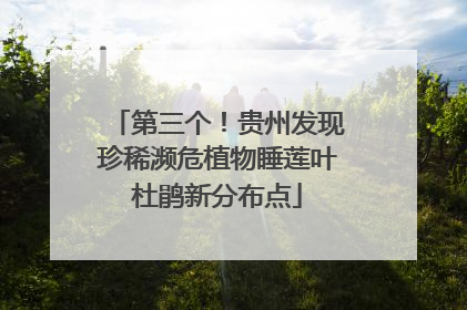 第三个！贵州发现珍稀濒危植物睡莲叶杜鹃新分布点