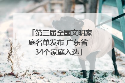 第三届全国文明家庭名单发布 广东省34个家庭入选