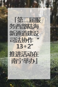 第二届服务西部陆海新通道建设司法协作“13+2”推进活动在南宁举办