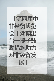 第四届中非经贸博览会丨湖南出台一揽子鼓励措施助力对非经贸发展