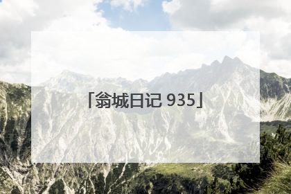 翁城日记 935