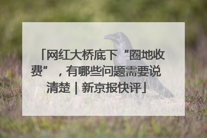 网红大桥底下“圈地收费”，有哪些问题需要说清楚｜新京报快评