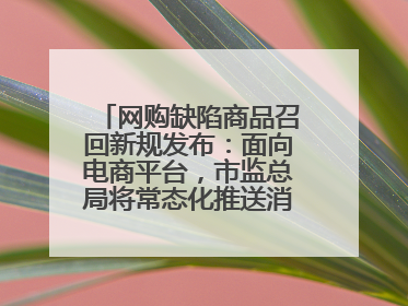 网购缺陷商品召回新规发布：面向电商平台，市监总局将常态化推送消费品召回信息