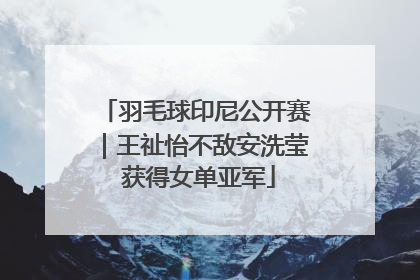 羽毛球印尼公开赛｜王祉怡不敌安洗莹 获得女单亚军