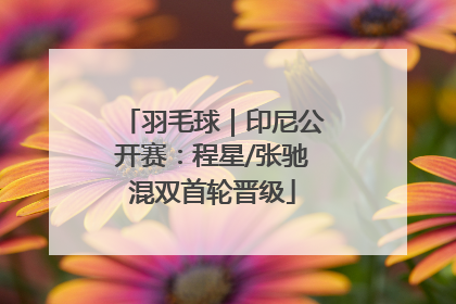 羽毛球｜印尼公开赛：程星/张驰混双首轮晋级
