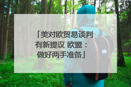 美对欧贸易谈判有新提议 欧盟：做好两手准备