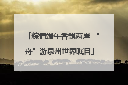 粽情端午香飘两岸 “舟”游泉州世界瞩目