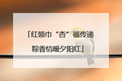 红领巾“杏”福传递 粽香情暖夕阳红