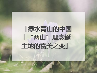 绿水青山的中国丨“两山”理念诞生地的富美之变