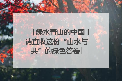 绿水青山的中国丨请查收这份“山水与共”的绿色答卷