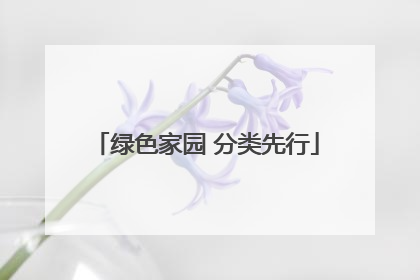 绿色家园 分类先行