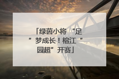 绿茵小将 “足”梦成长！榕江“园超”开赛