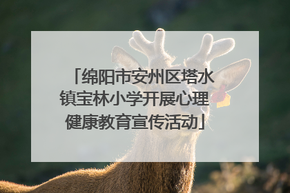 绵阳市安州区塔水镇宝林小学开展心理健康教育宣传活动