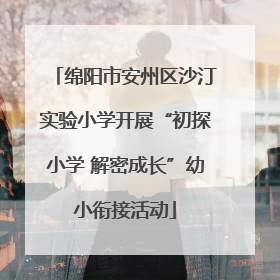 绵阳市安州区沙汀实验小学开展“初探小学 解密成长”幼小衔接活动