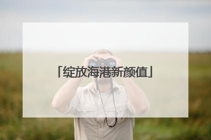 绽放海港新颜值