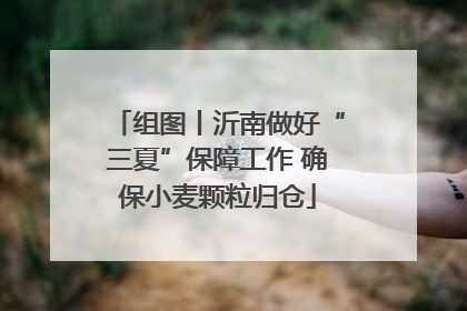 组图丨沂南做好“三夏”保障工作 确保小麦颗粒归仓