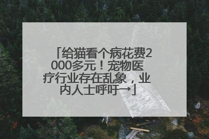 给猫看个病花费2000多元！宠物医疗行业存在乱象，业内人士呼吁→