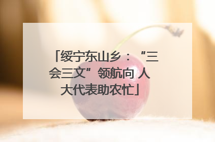 绥宁东山乡：“三会三文”领航向 人大代表助农忙