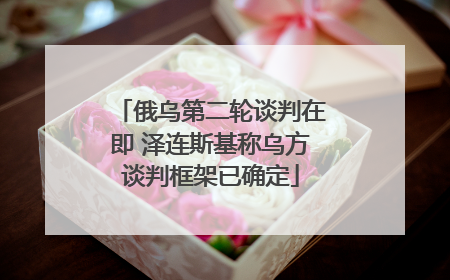 俄乌第二轮谈判在即 泽连斯基称乌方谈判框架已确定