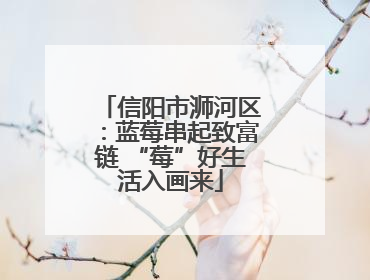 信阳市浉河区：蓝莓串起致富链 “莓”好生活入画来