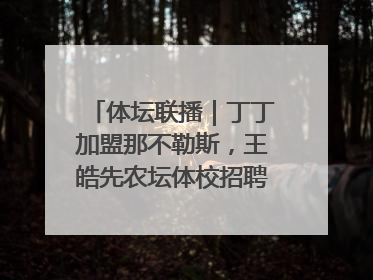 体坛联播｜丁丁加盟那不勒斯，王皓先农坛体校招聘笔试第一