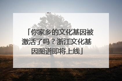 你家乡的文化基因被激活了吗？浙江文化基因图谱即将上线